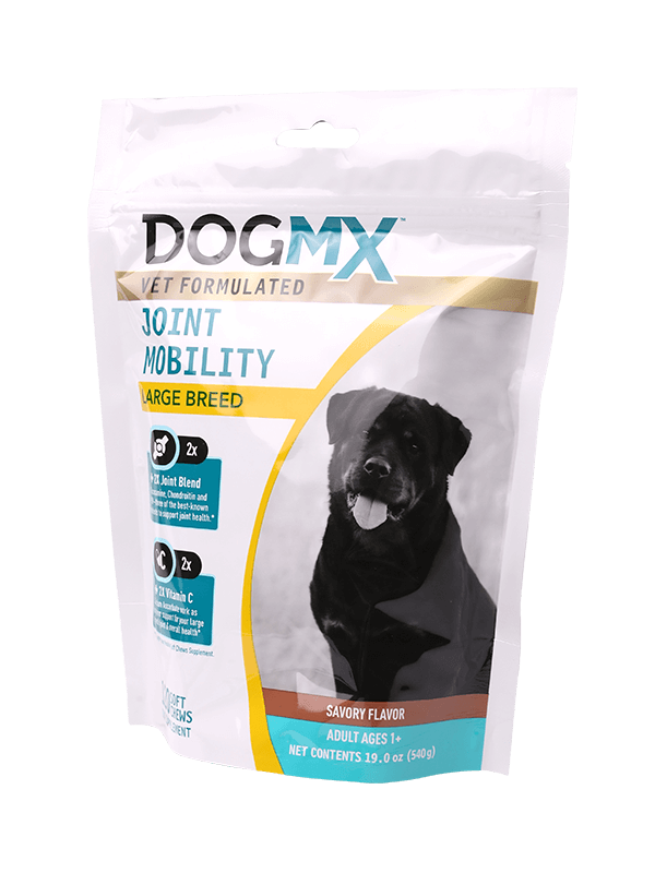 كيس بلاستيك مقاوم للرطوبة مع كيس بسحاب